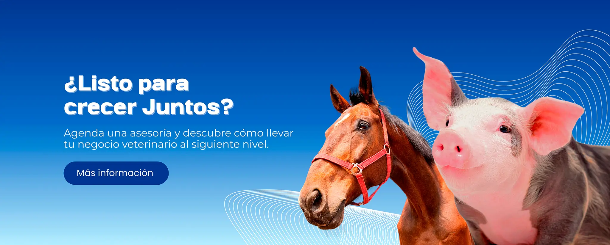 Queremos ser tus patas